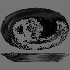 Блюдо Tognana Wienna L 315 мм, B 210 мм, H 20 мм, белый артикул VW020300000