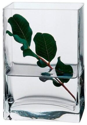 Ваза для цветов PASABAHCE Botanica B 100 мм, L 80 мм, H 180 мм артикул 43074/b