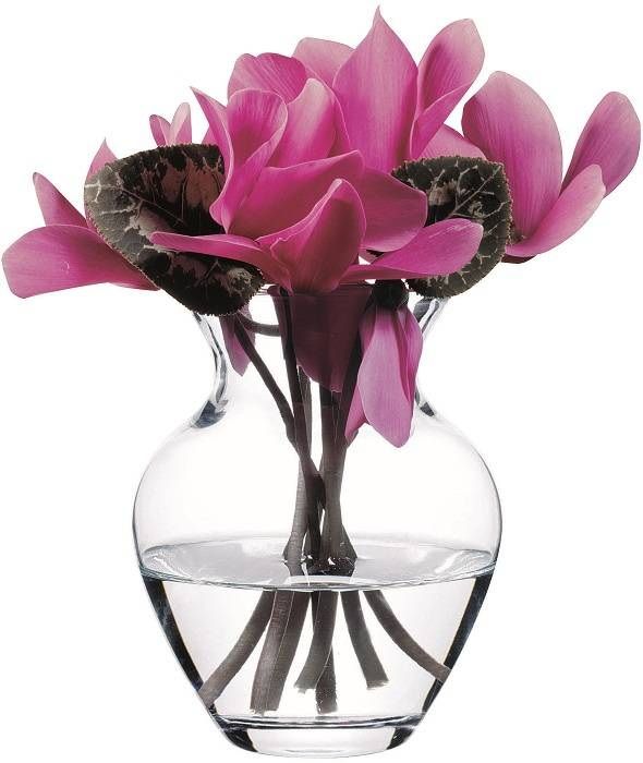 Ваза для цветов PASABAHCE Botanica D 88 мм, H 144 мм артикул 43206/b