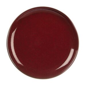 Блюдо P.L. Proff Cuisine Evolution D 200 мм, H 20 мм артикул 10340 (dark red)кор=24/6