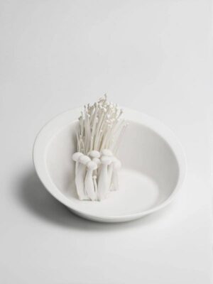 Салатник Ariane Lune ANEARN000022016 артикул ANEARN000022016