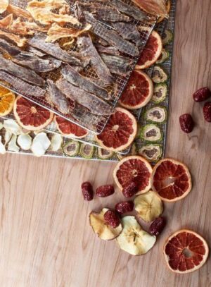 Дегидратор сушилка Kocateq DHFD10