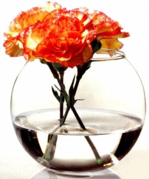 Ваза для декора PASABAHCE Botanica 3000 мл, D 120 мм, H 150 мм артикул 45068/b