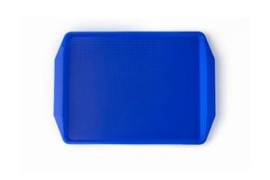 Поднос MGProf L 420 мм, B 300 мм голубой (123) артикул 1732-123