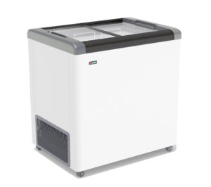 Морозильный ларь Frostor GELLAR FG 250 C (серый)