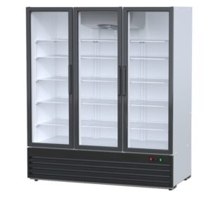 Холодильный фронт 1670 Премьер (1940х780) 3 двери