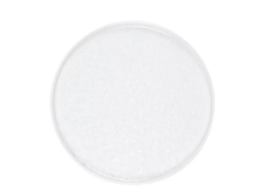 Тарелка Royal Charm Frost D 260 мм, H 19 мм, с бортом, белый артикул ZH003-Y191/W
