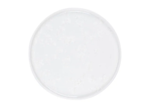 Тарелка Royal Charm Frost D 280 мм, H 18 мм, с бортом, белый артикул XJ1011-Y191/W