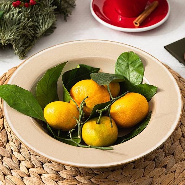 Тарелка Serax Terres de Reves D213 мм, H50 мм цвет серый,синий глубокая артикул B5116191