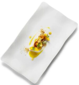 Блюдо PORDAMSA Gastro matte L 330 мм, B 200 мм артикул V0388-0333MAT