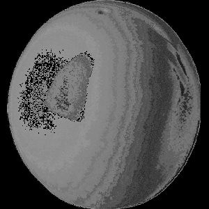 Солонка Tognana Portofino 70 мл, D 30 мм, H 60 мм артикул PF0SL070000