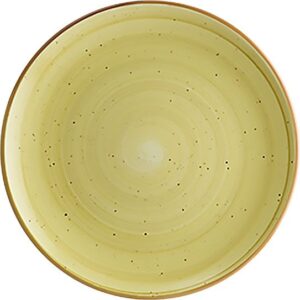 Тарелка Bonna Aura Amber D 210 мм артикул AARGRM21DZ