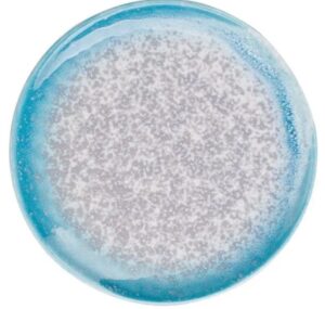 Тарелка KunstWerk Neptune D 150 мм, H 15 мм артикул A24094W655