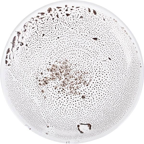 Тарелка Борисовская Керамика «Тирамису»; D18, H3см, керамика, белый артикул ТИР00004792